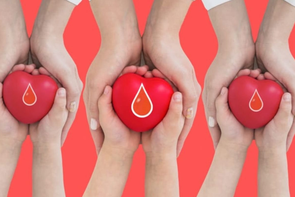 Сколько доноры сдают крови за раз?, Журнал DonorSearch