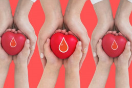 Сколько доноры сдают крови за раз?, Журнал DonorSearch