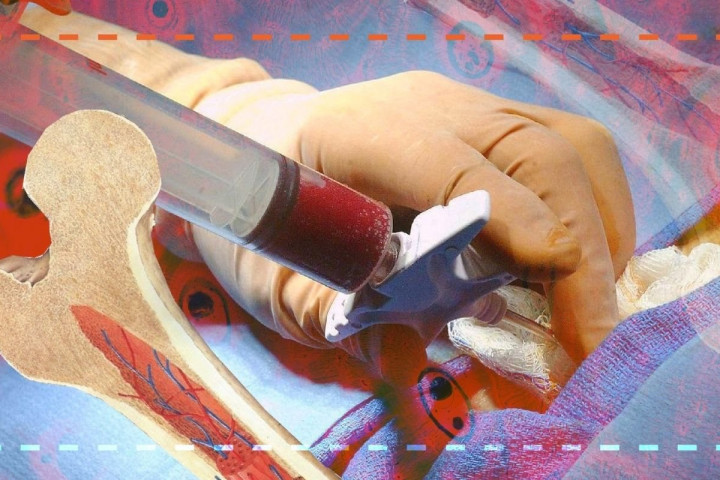 Тред в твиттере о донорстве костного мозга, Журнал DonorSearch