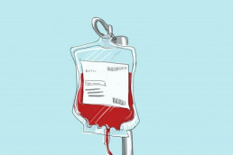 С какого возраста можно сдавать кровь? И до какого?, Журнал DonorSearch