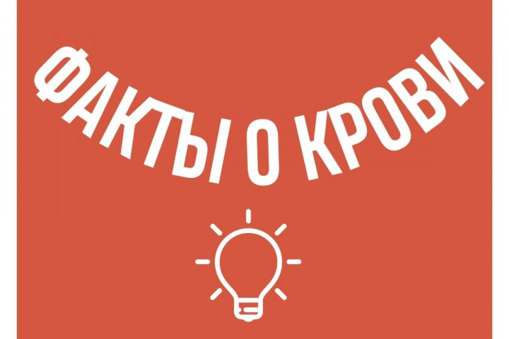 Дважды вокруг света, Журнал DonorSearch