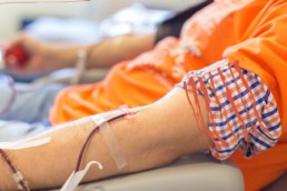 Бизнес на крови, Журнал DonorSearch