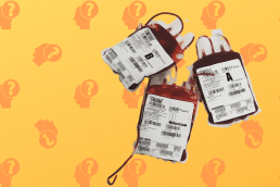 Какие компоненты крови используют при переливании и почему?, Журнал DonorSearch