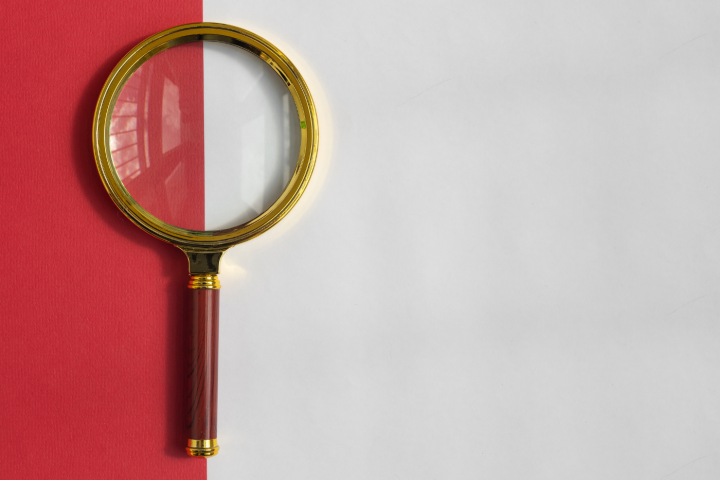 Донорство под присмотром, Журнал DonorSearch