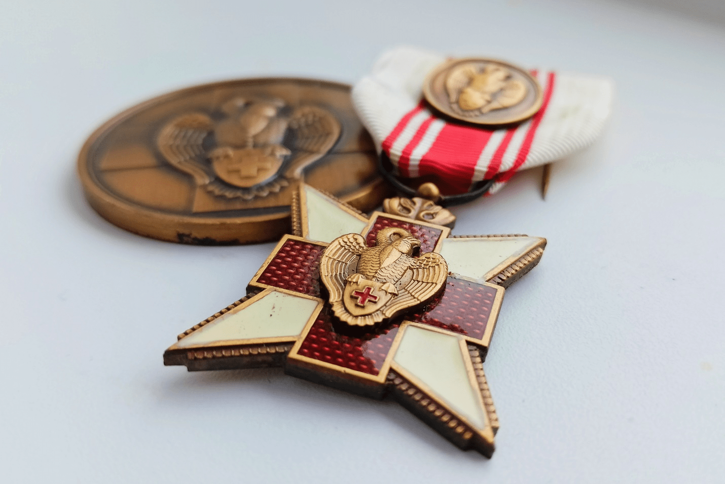 Донорские знаки отличия в Бельгии