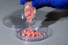 ErythroMer: ещё один заменитель крови, Журнал DonorSearch