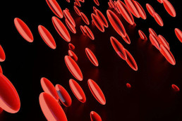 Ферритин и гемоглобин: как доноры помогают учёным понять тайну железа, Журнал DonorSearch