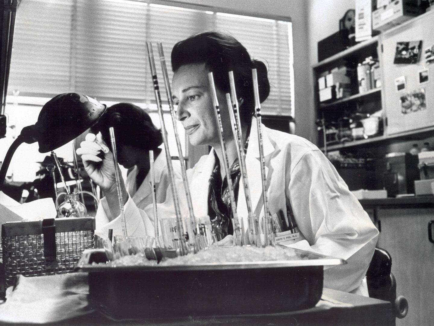 Женщины в донорстве: близко, но всё ещё далеко, Журнал DonorSearch