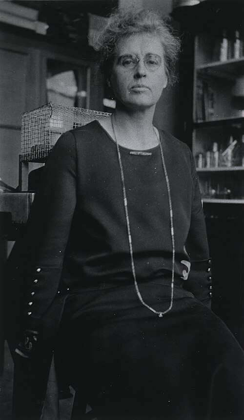 Женщины в донорстве: близко, но всё ещё далеко, Журнал DonorSearch